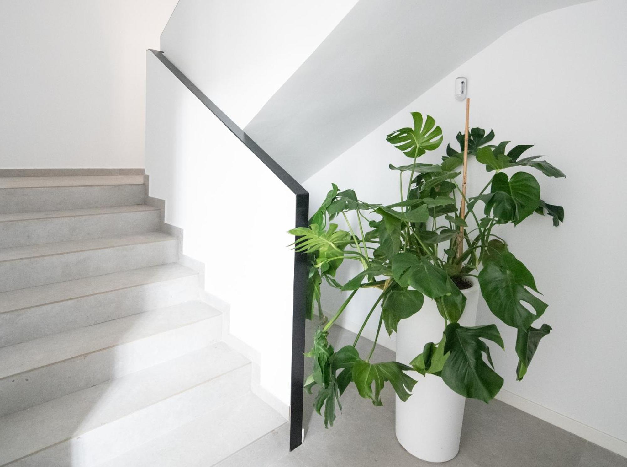 Apartamento Valencia Malvarrosa מראה חיצוני תמונה